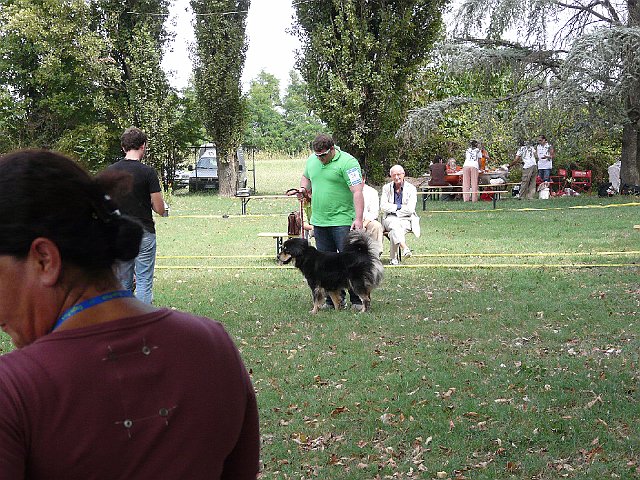 img 139.jpg